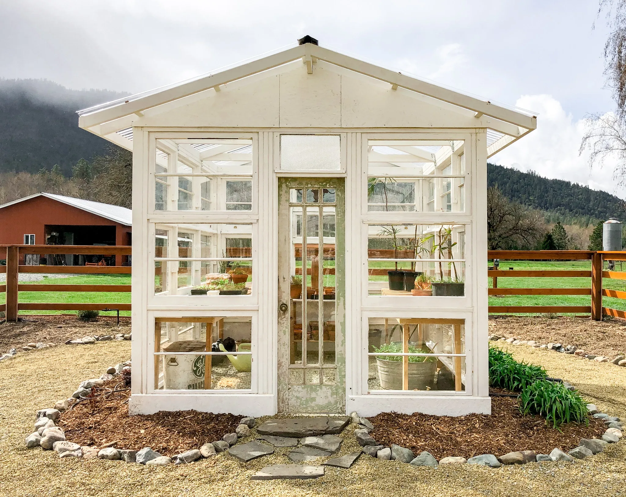 The Thrifty Gardener’s Guide to Starting Seeds: From Window Sills to Greenhouses