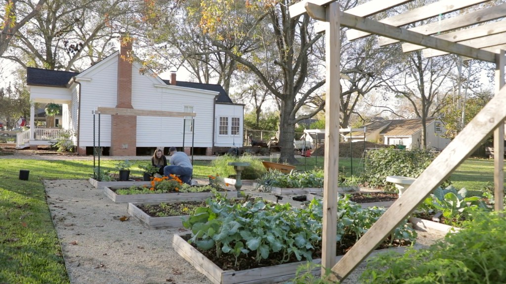 False Spring and&nbsp;Hope